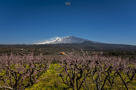 Etna e Vino la natura vulcanica - Etnaly-shop