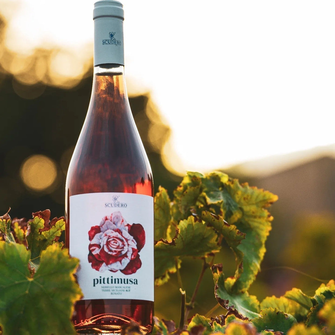 Pittimusa: L’Essenza della Sicilia in un Calice - Etnaly-shop