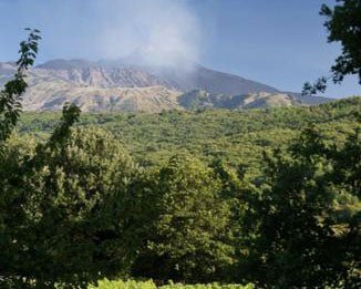 Tenuta Monte Gorna: come Etna crea! - Etnaly-shop