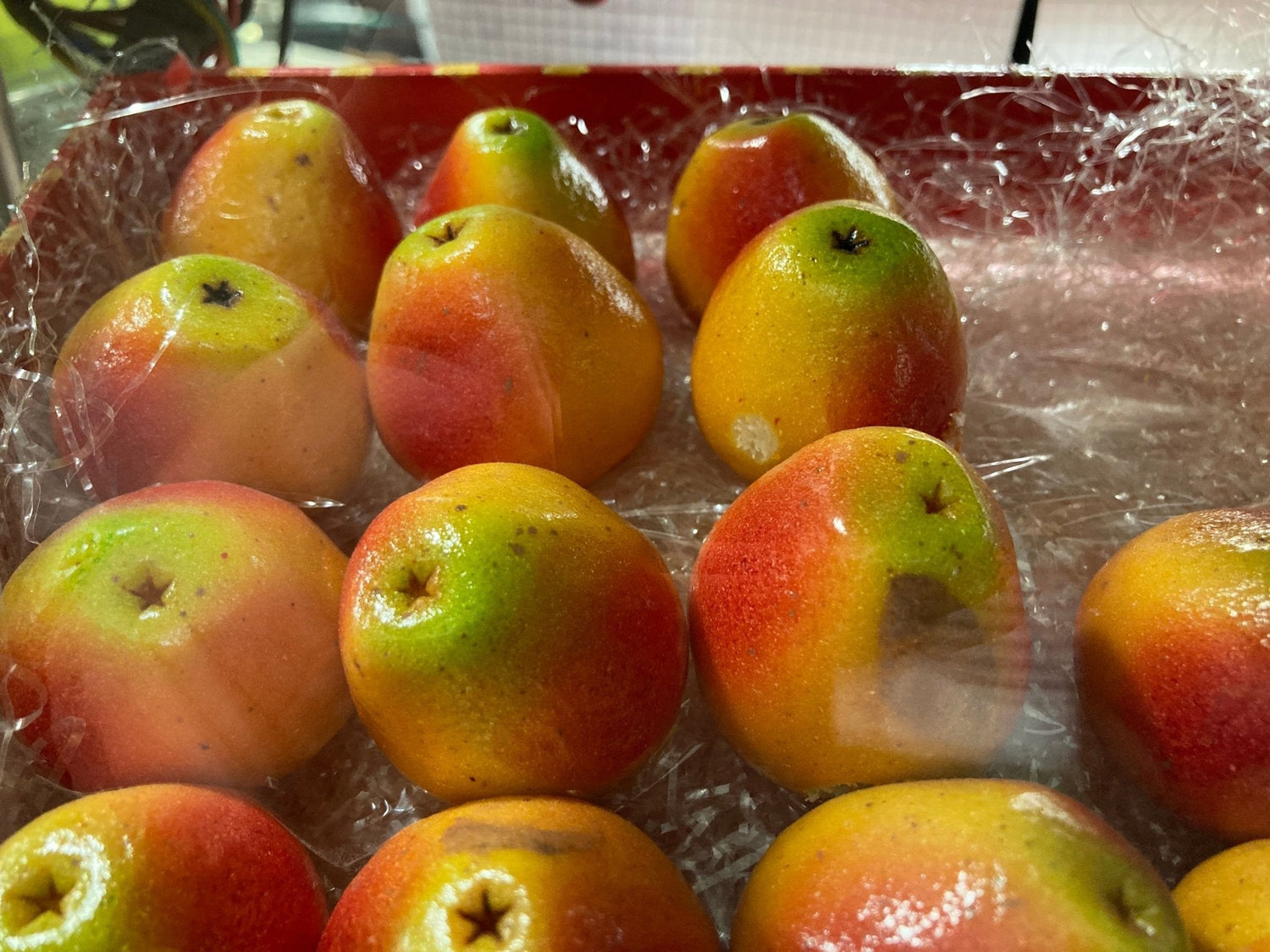 Nuovi Arrivi - Etnaly-shop