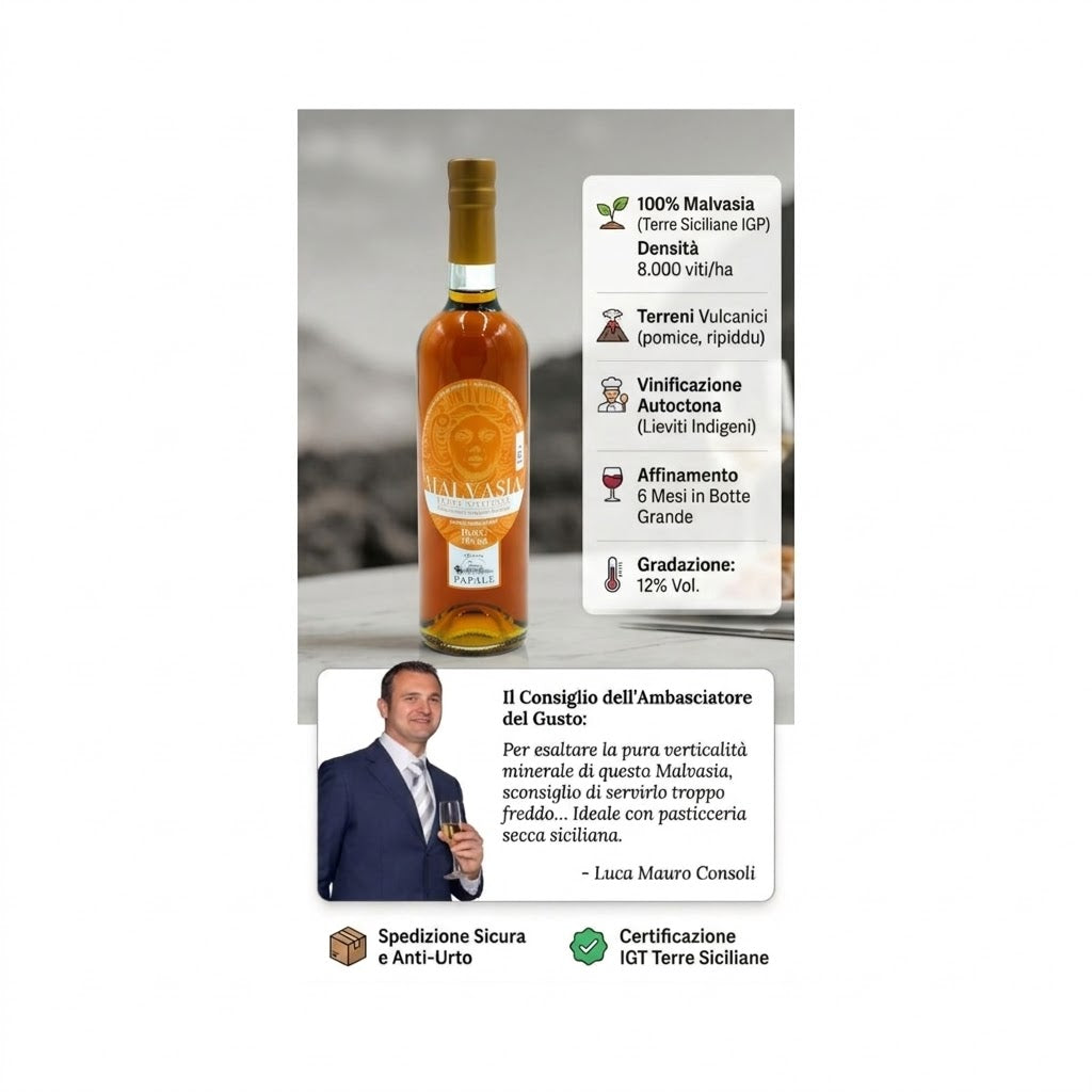 Infografica Malvasia IGP