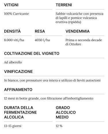 Etna Bianco Superiore - Etnaly - shop