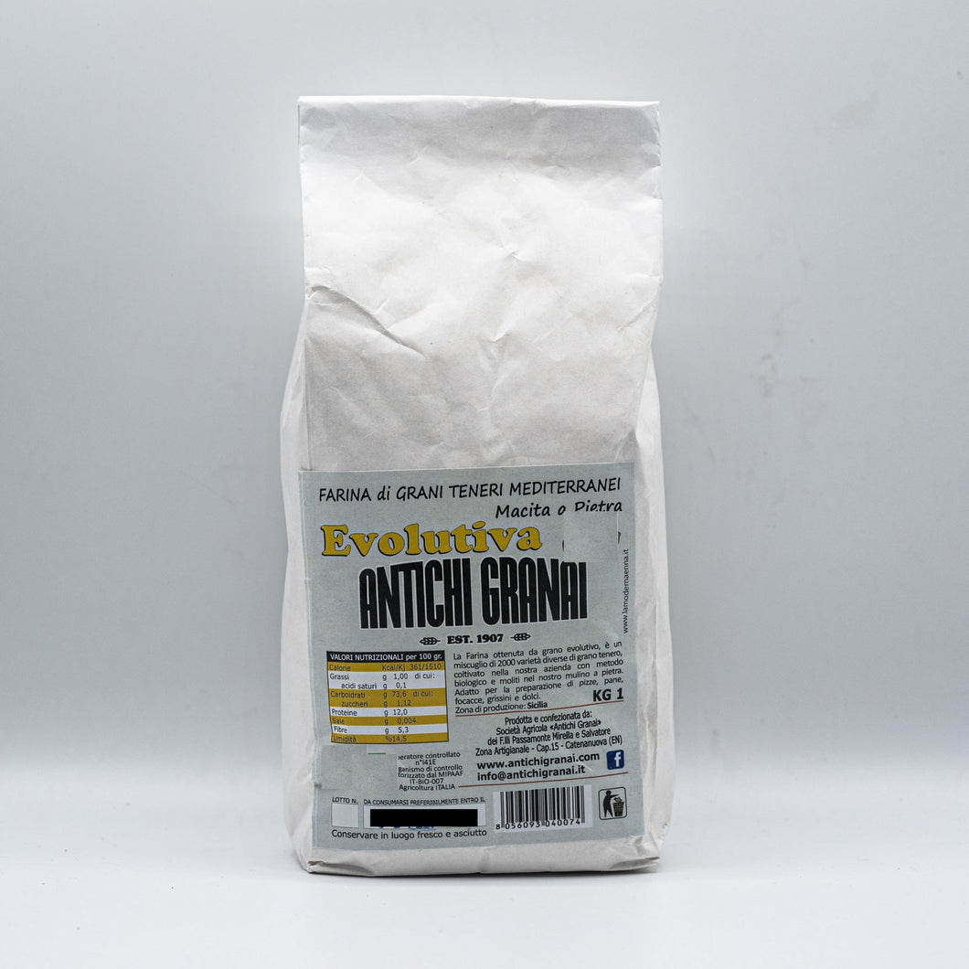 Farina Grano Tenero Evolutiva 1kg ideale per la Pizza - Etnaly - shop
