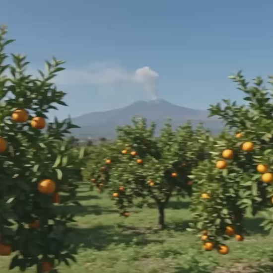 miele fiori d'arancio coco zafferana etnea