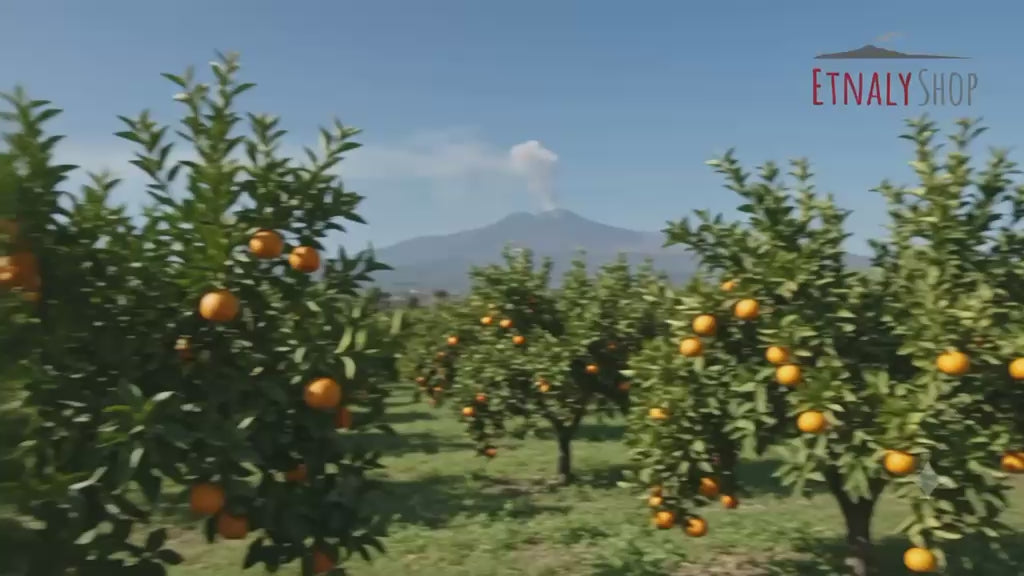 miele fiori d'arancio coco zafferana etnea