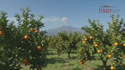 miele fiori d'arancio coco zafferana etnea