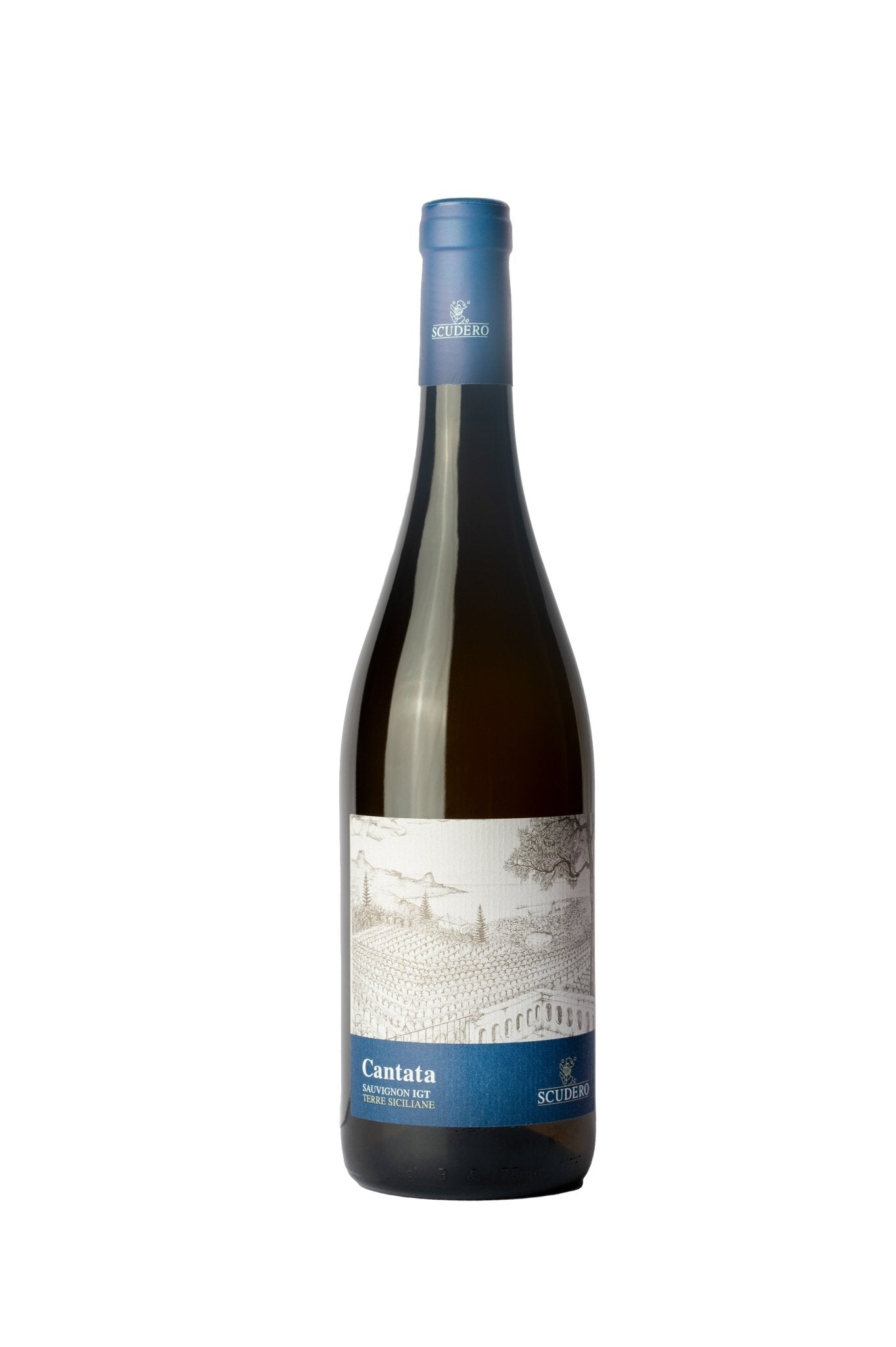 Vino bianco Sauvignon IGT Terre siciliane - Cantata - Etnaly - shop